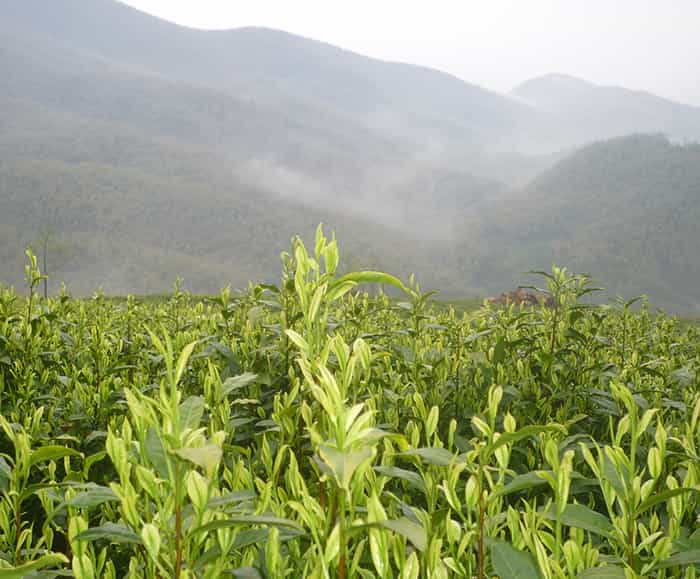 雙頭精雕機(jī)和單頭精雕機(jī)比有什么優(yōu)勢(shì)？在選擇時(shí)要考慮什么因素？