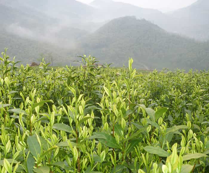 精雕機械有哪些系統(tǒng)？