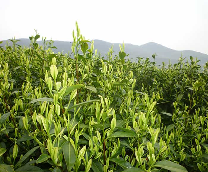 數(shù)控銑床對(duì)刀前的準(zhǔn)備工作及幾種對(duì)刀的方法